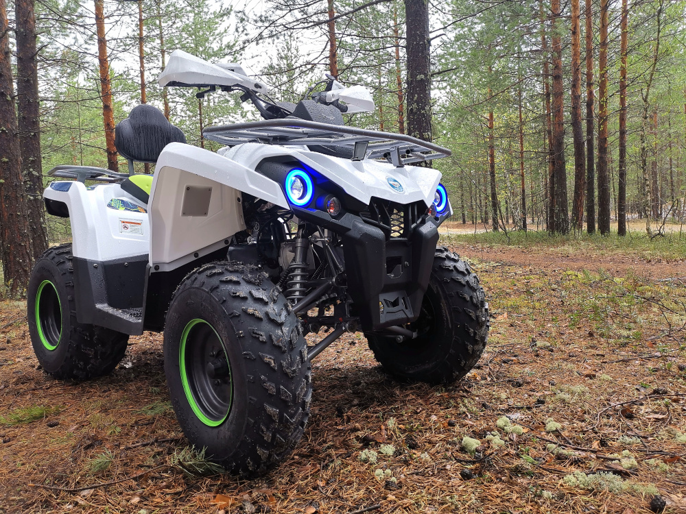 Квадроцикл PROMAX RENEGADE 280 (2025) в Люберцах