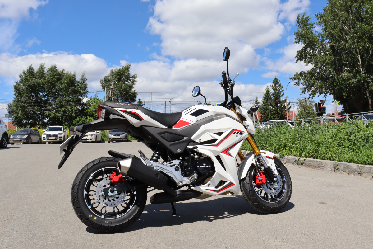 Мотоцикл PROMAX STRYKER 200(49) 2.0 в Люберцах