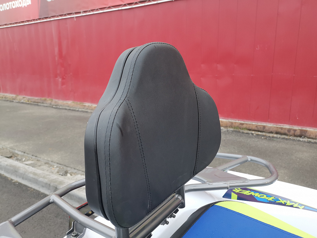 Квадроцикл PROMAX RENEGADE 280 LUX (2025) в Люберцах