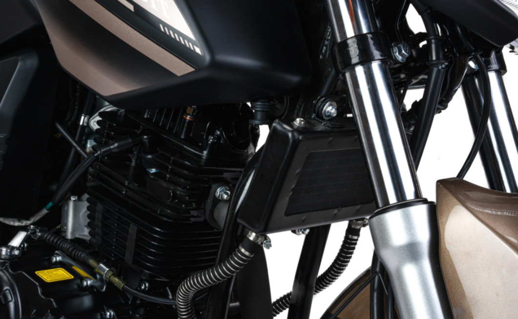 Мотоцикл MOTOLAND (МОТОЛЕНД) 300 BANDIT в Люберцах