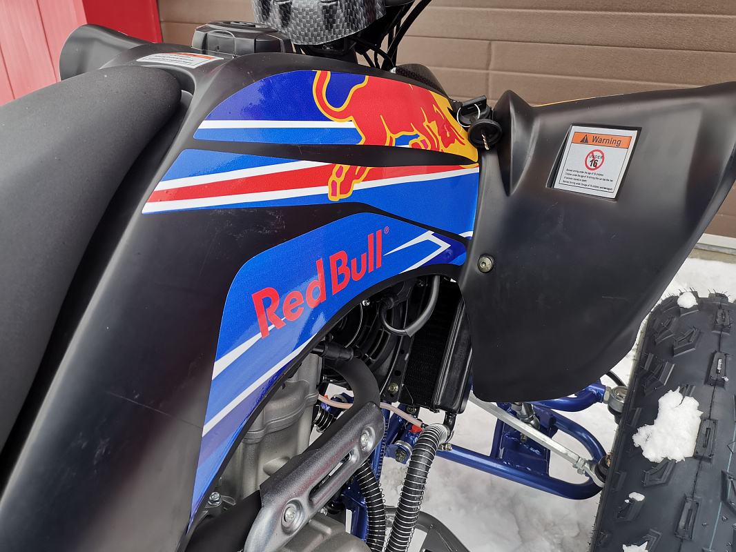 Квадроцикл PROMAX RAPTOR 300 NEW RedBull в Люберцах