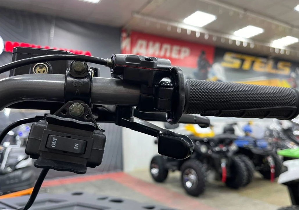 Квадроцикл PROMAX RENEGADE 300 LONG WINCH PRO (2025) в Люберцах