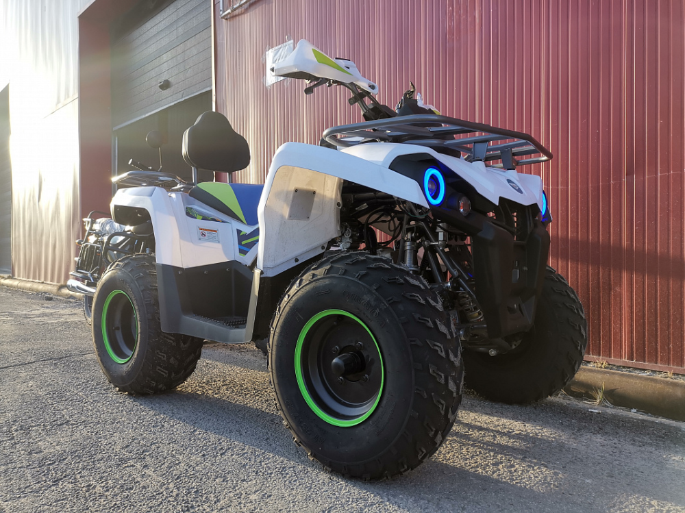 Квадроцикл PROMAX RENEGADE 280 LUX (2025) в Люберцах