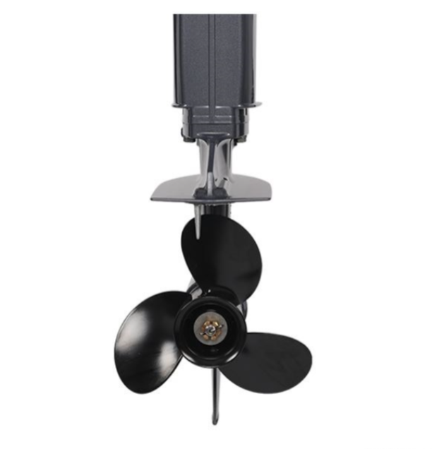 Лодочный мотор ALLFA CG Т40FW S в Люберцах