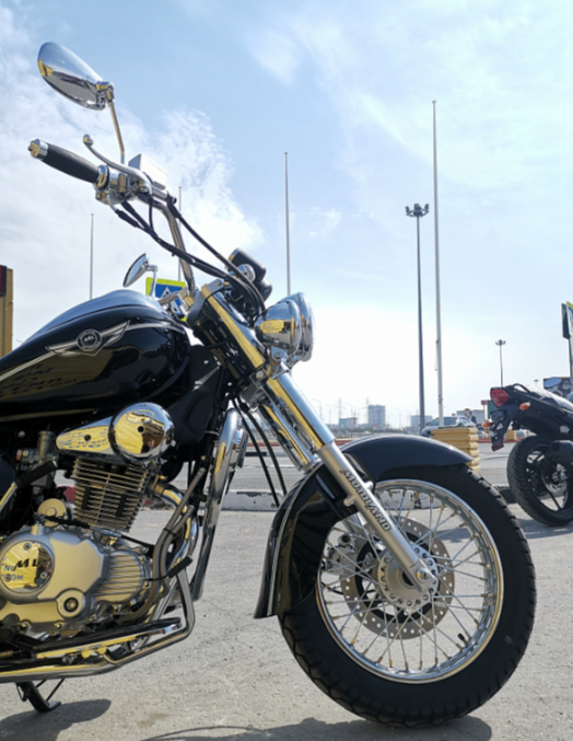 Мотоцикл MOTOLAND (МОТОЛЕНД) WOLF 250 в Люберцах