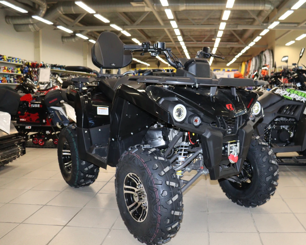 Квадроцикл PROMAX RENEGADE 300 LONG WINCH PRO (2025) в Люберцах