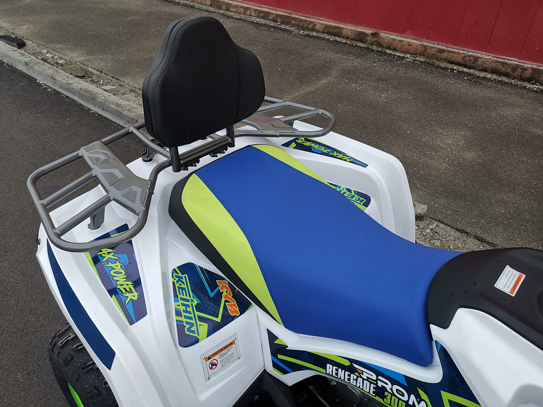Квадроцикл PROMAX RENEGADE 280 LUX (2025) в Люберцах