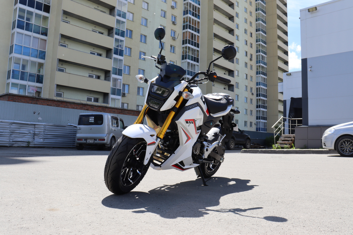 Мотоцикл PROMAX STRYKER 200(49) 2.0 в Люберцах