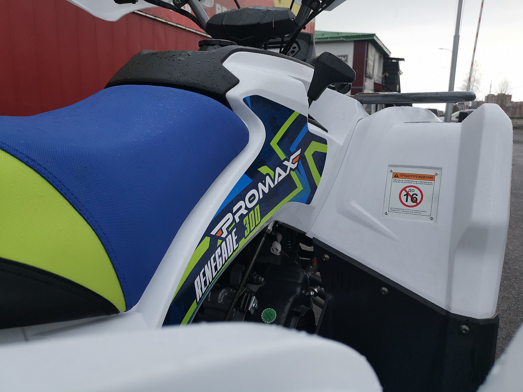Квадроцикл PROMAX RENEGADE 280 LUX (2025) в Люберцах
