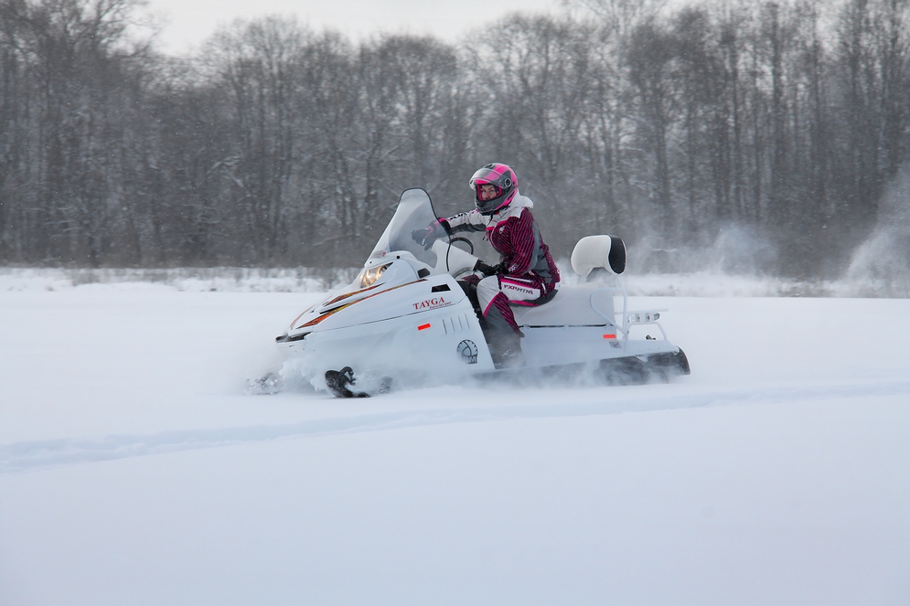 Снегоход Русская механика РМ TAYGA PATRUL 551 SWT в Люберцах