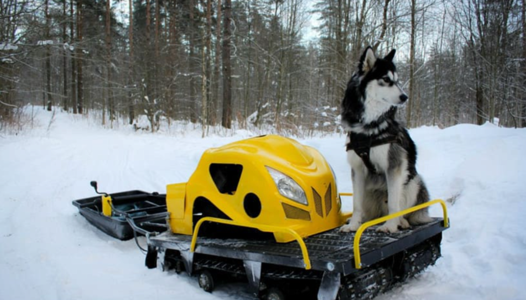 Мотобуксировщик LEBEDEV MOTORS ВОЛКОДАВ POWER V13 в Люберцах