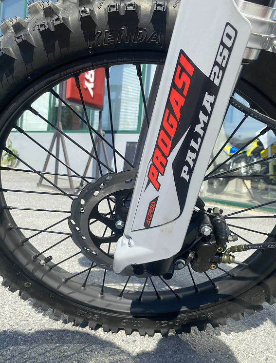 Мотоцикл Progasi PALMA 300 NEW (CB300F) в Люберцах