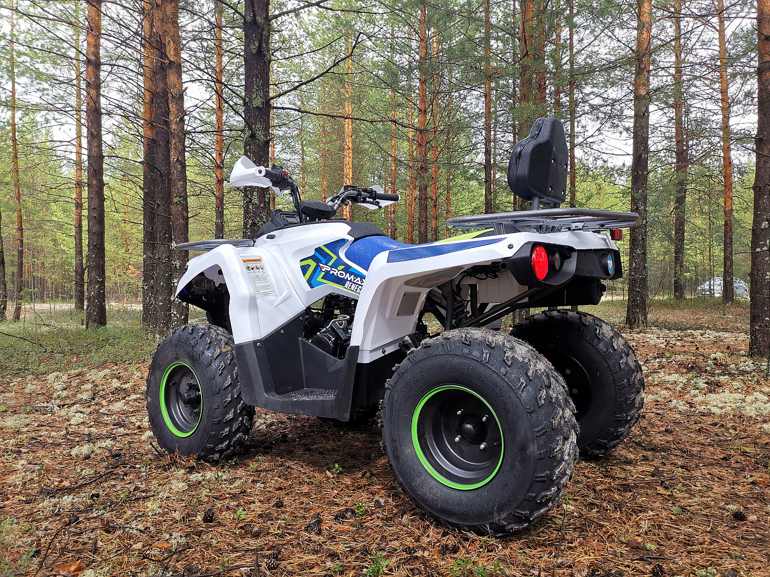 Квадроцикл PROMAX RENEGADE 280 (2025) в Люберцах