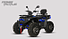 Квадроцикл PROMAX TAURUS 300 MAX-PRO LONG в Люберцах