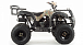 Квадроцикл MOTOLAND (МОТОЛЕНД) 200 ALL ROAD в Люберцах