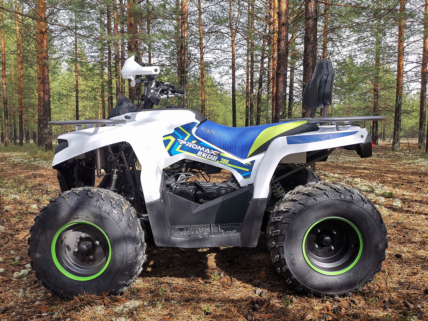 Квадроцикл PROMAX RENEGADE 280 (2025) в Люберцах