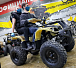 Квадроцикл PROMAX ATV 250 (2025) в Люберцах