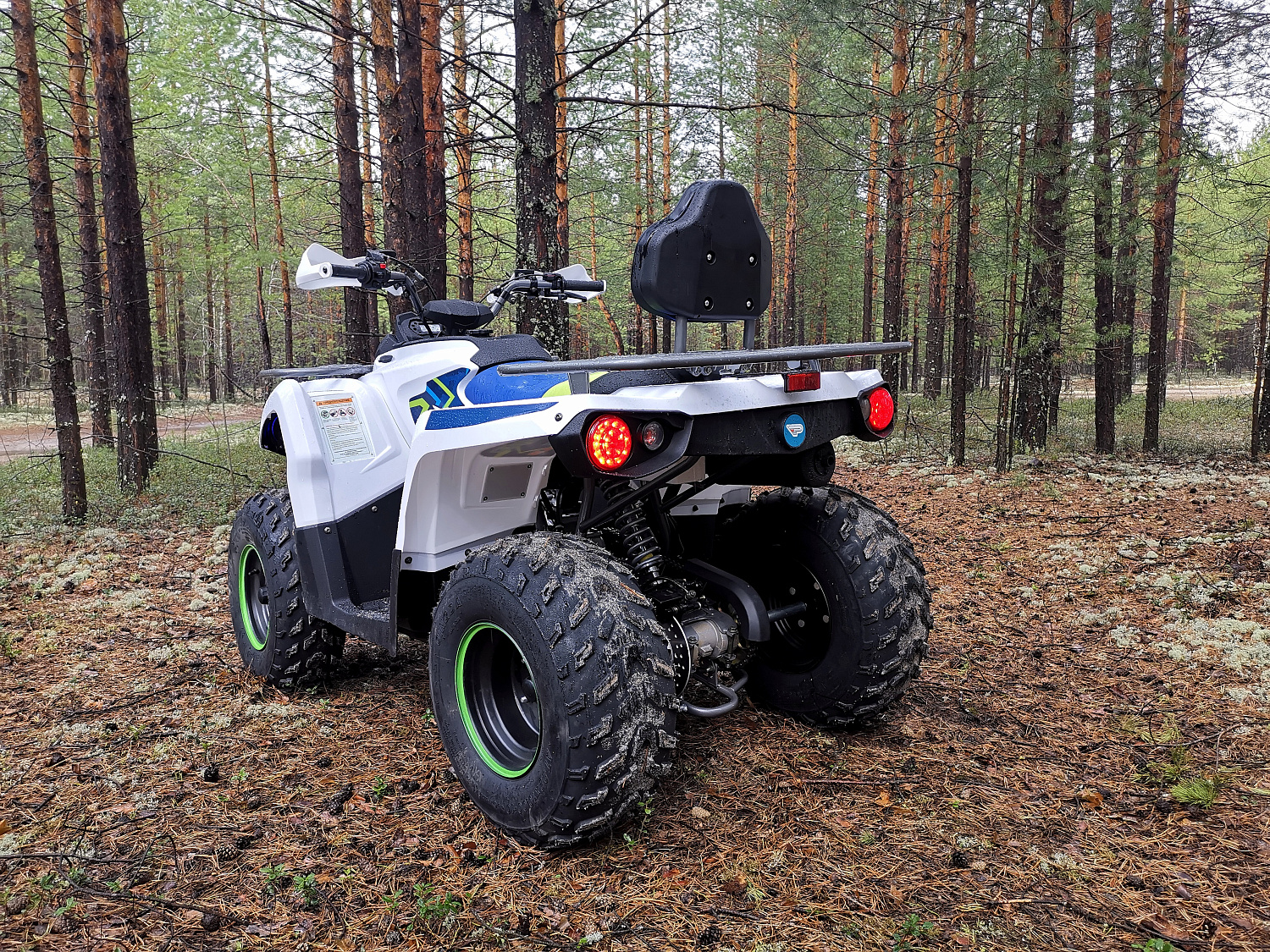 Квадроцикл PROMAX RENEGADE 280 (2025) в Люберцах