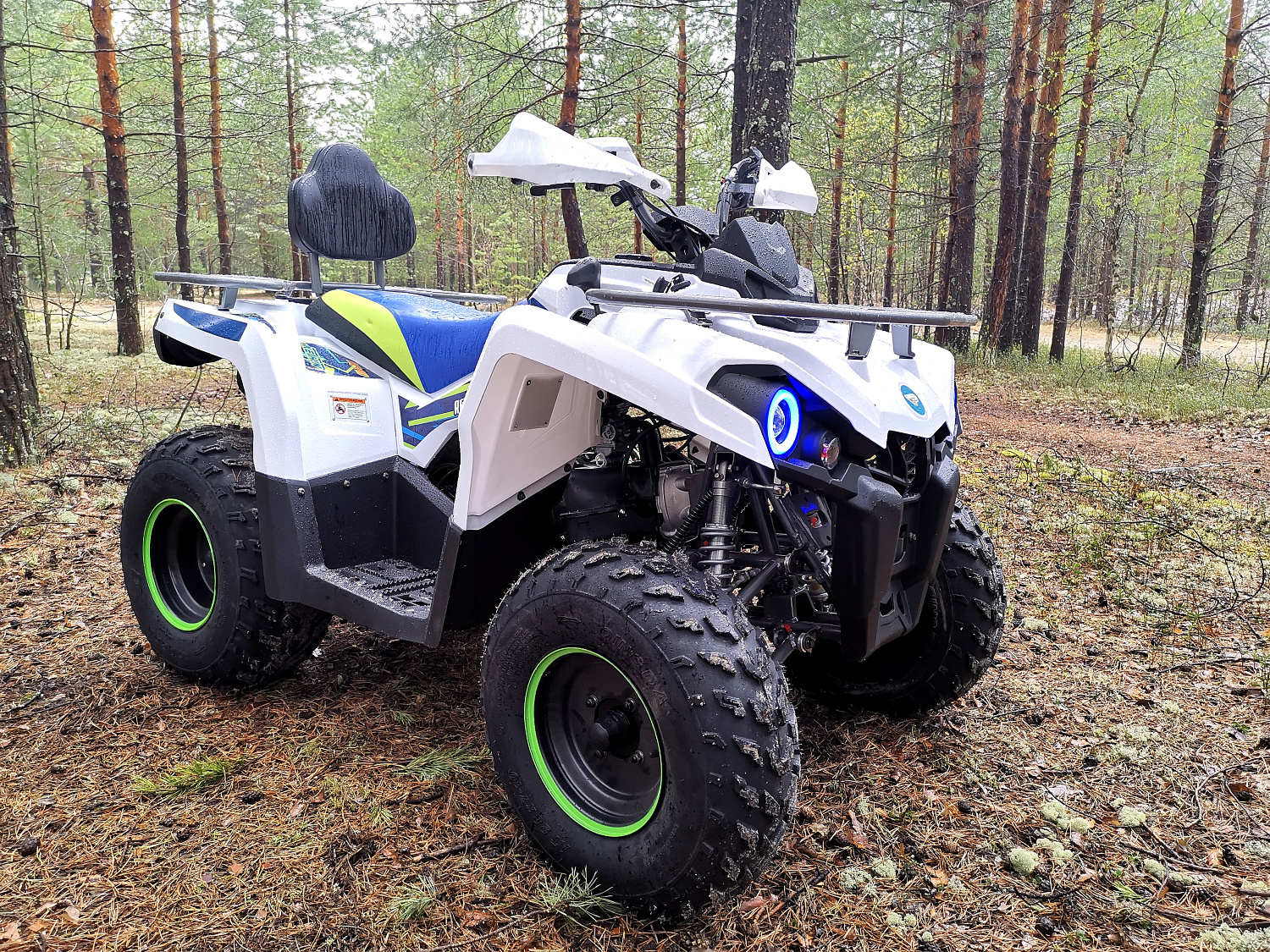 Квадроцикл PROMAX RENEGADE 280 (2025) в Люберцах
