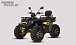 Квадроцикл PROMAX TAURUS 300 MAX-PRO LONG в Люберцах